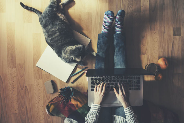 pixelpusher-work-from-home Work from home